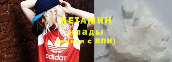 индика Переславль-Залесский