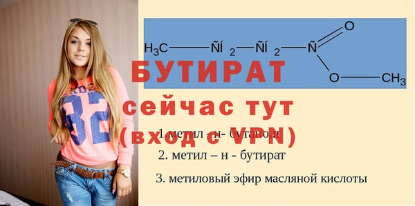 индика Переславль-Залесский