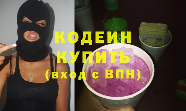 индика Переславль-Залесский