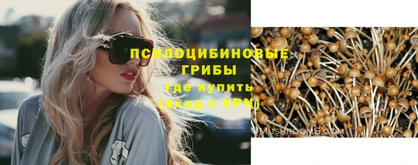 индика Переславль-Залесский