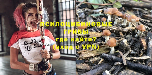 соль ск Пестово