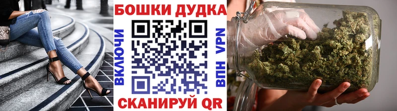 Конопля сатива  Колпашево 